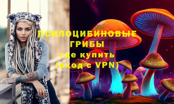 скорость Богданович