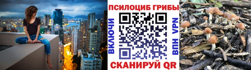 Галлюциногенные грибы GOLDEN TEACHER  цена наркотик  Кедровый 